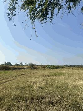 ขายที่ดิน อ.บางเลน จ.นครปฐม 15 ไร่ แถมฟรี 2 ไร่ ติดถนนใหญ่ ใกล้โรงงานดีโสตน โทร 0813509969